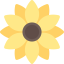 girasol icon