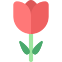 tulipán icon