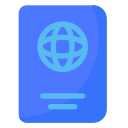 pasaporte icon