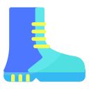 zapato icon