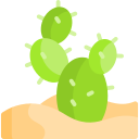 cactus icon