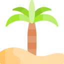 palmera