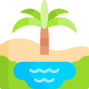 oasis icon