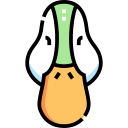 pato icon