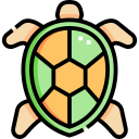 tortuga icon