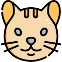 gato icon