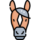 caballo icon