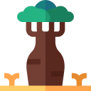 baobab