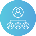 estructura de organización 