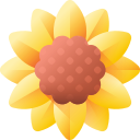 girasol icon