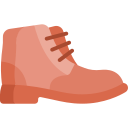 zapato icon