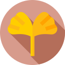 ginko icon