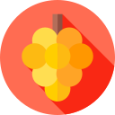 uvas icon