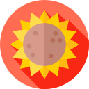 girasol icon