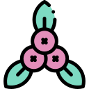 블루 베리 icon