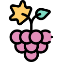 uvas icon