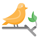 pájaro icon