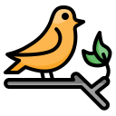 pájaro icon