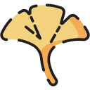 gingko icon