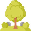 Árbol icon