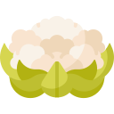 coliflor 