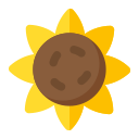 girasol icon