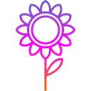 girasol icon