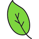 hoja icon