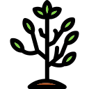 Árbol icon