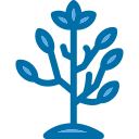 Árbol icon