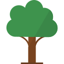 Árbol icon