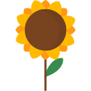 girasol icon