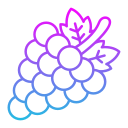 uvas icon