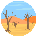 desierto icon