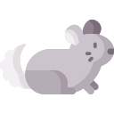 chinchilla icon