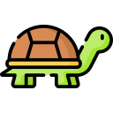 tortuga icon