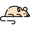 ratón icon