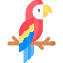 papagaio 