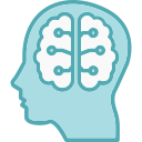 cerebro humano icon