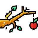 fruta icon