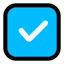 lista de verificación icon