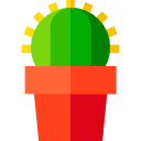 cactus icon