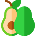 aguacate icon