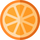 fatia de laranja icon