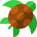 tortuga icon