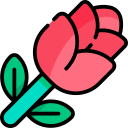 rosa icon