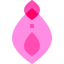 vagina icon