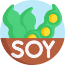 soja icon