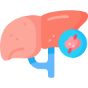 cáncer de hígado icon