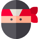 ninja icon